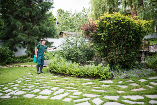 Best Lawn Irrigation Installation and Maintenance  in East Mountain, TX